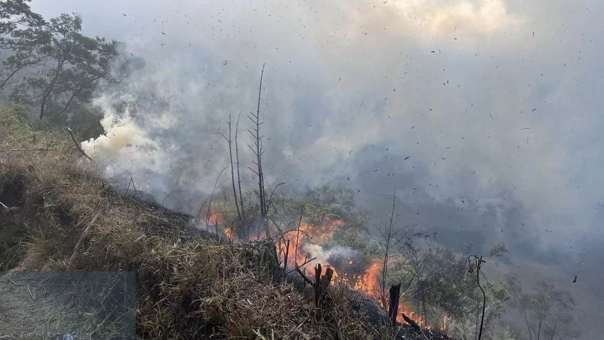 Karhutla di Gunung Bromo Belum Terkendali, Luas Area Terbakar Capai 10 Hektare
